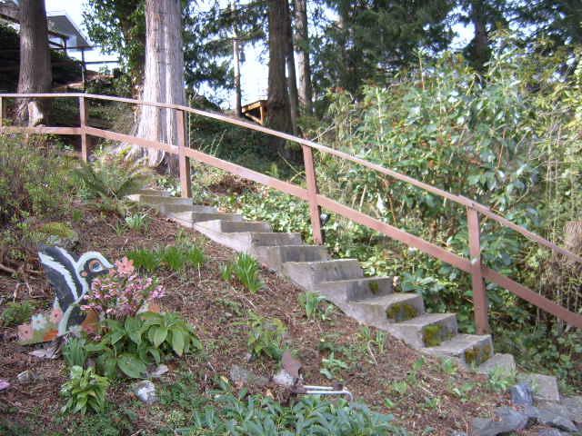 Friday Harbor Lightsヴィラ エクステリア 写真